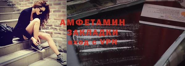 молекула духа Осташков