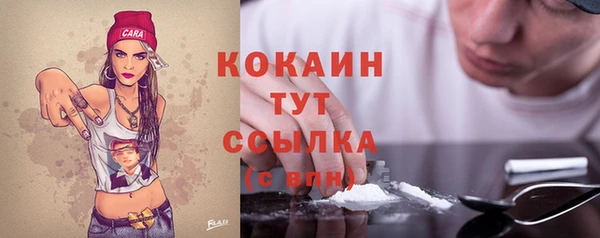 прущие грибы Балабаново