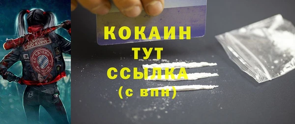 прущие грибы Балабаново