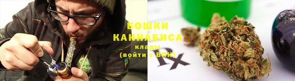прущие грибы Балабаново