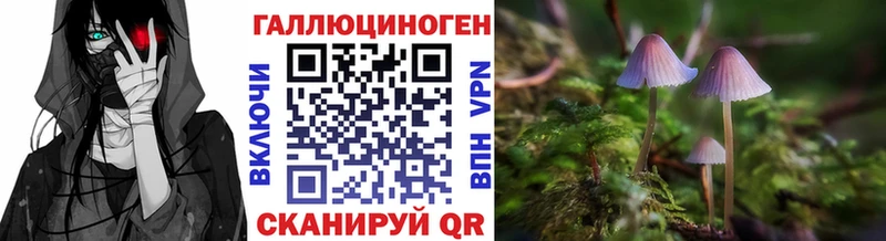 Галлюциногенные грибы мицелий  цена наркотик  Пугачёв 